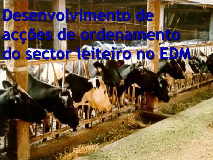 desenvolvimento de ac es de ordenamento do sector leiteiro no edm