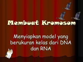 membuat kromosom