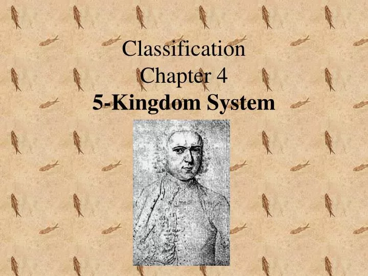 classification chapter 4 5 kingdom system