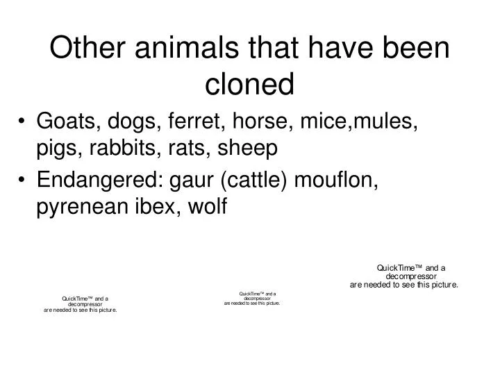 other animals that have been cloned