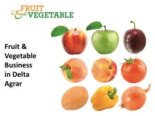 Fruit &amp; Vegetable Business i n Delta Agrar