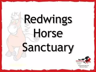 redwings horse sanctuary
