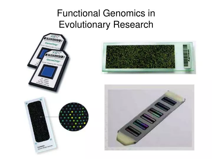 functional genomics in evolutionary research