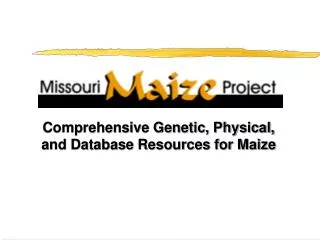 Comprehensive Genetic, Physical, and Database Resources for Maize