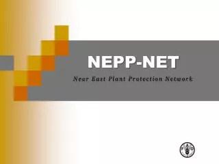 NEPP-NET
