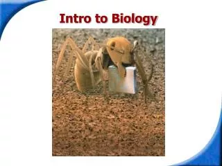 Intro to Biology