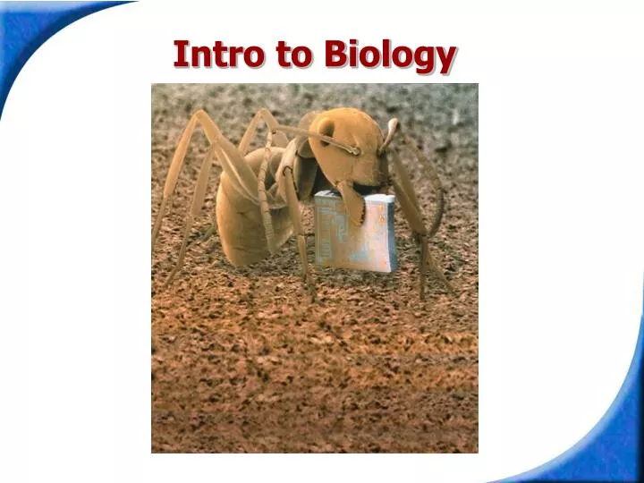 intro to biology