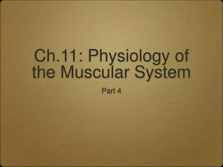 ch 11 physiology of the muscular system