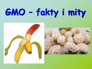 gmo fakty i mity