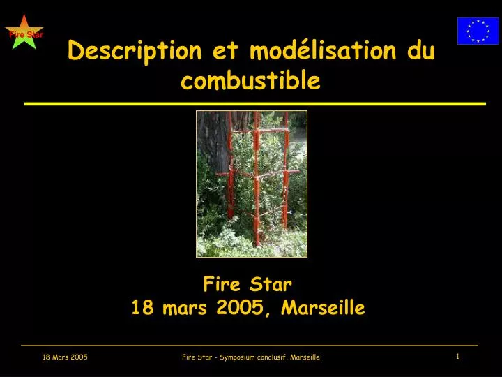 description et mod lisation du combustible