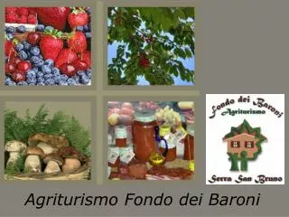 agriturismo fondo dei baroni