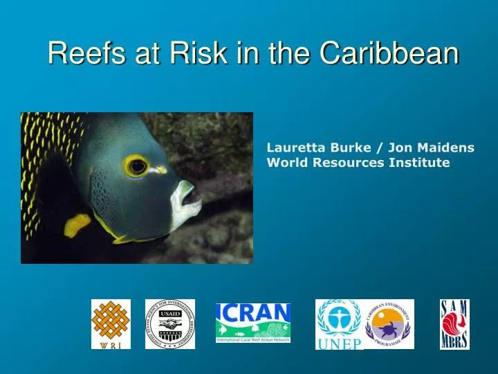 reefs at risk in the caribbean