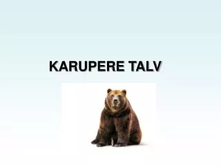 karupere talv