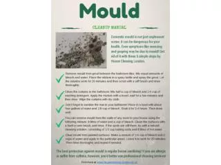 Mould - cleanup manual