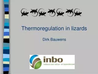 Thermoregulation in lizards
