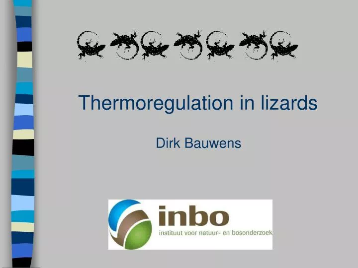 thermoregulation in lizards