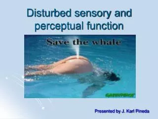 Disturbed sensory and perceptual function