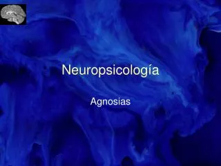 neuropsicolog a