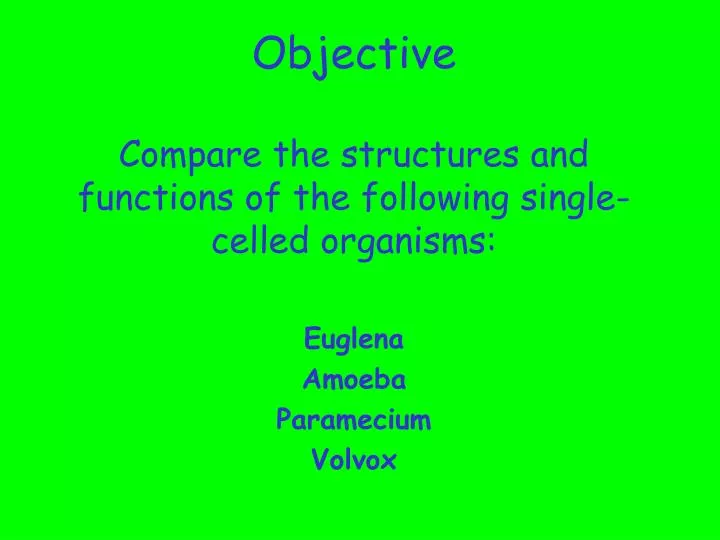 objective compare the structures and functions of the following single celled organisms