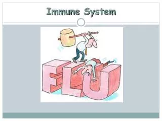 immune system