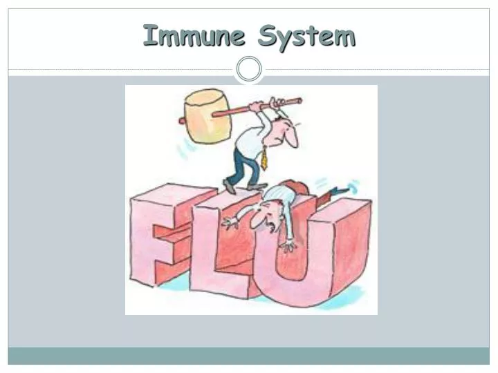 immune system