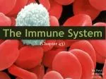 The Immune System - slide 1
