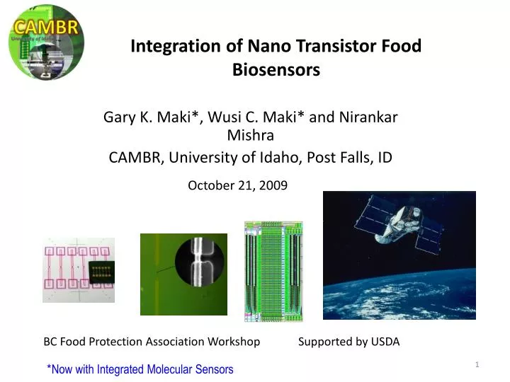 integration of nano transistor food biosensors