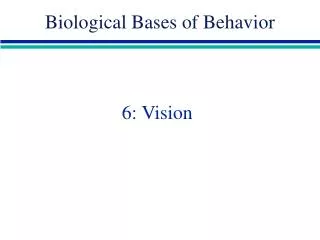 6: Vision