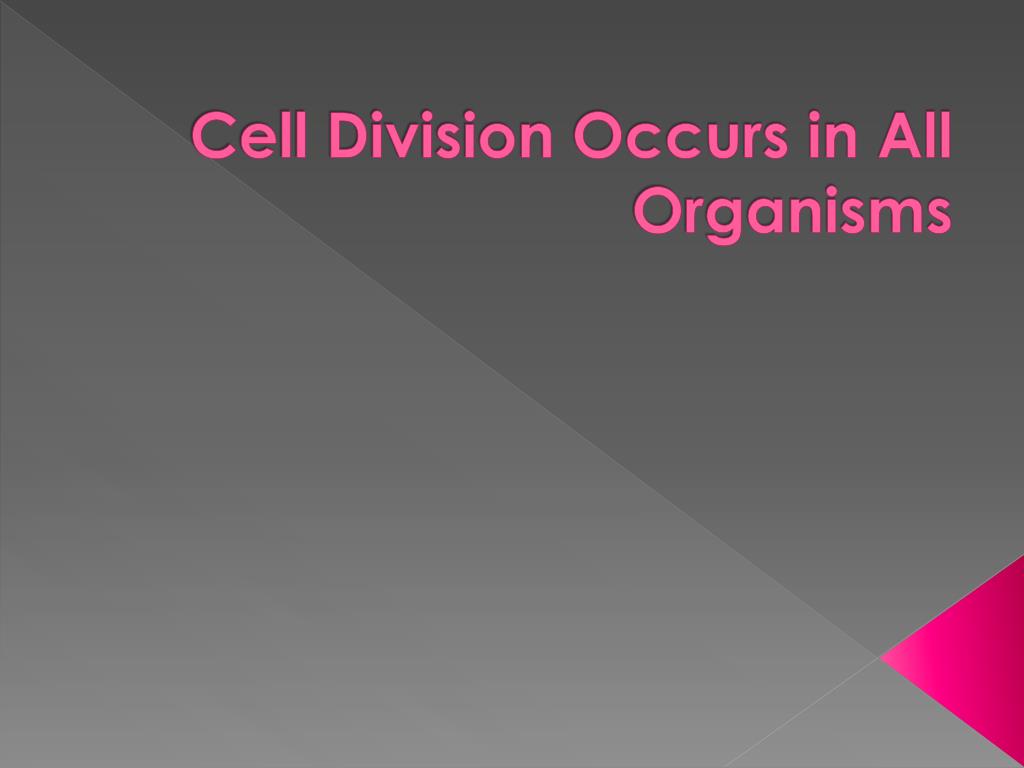 PPT - Understanding Cell Division in Organisms PowerPoint Presentation ...