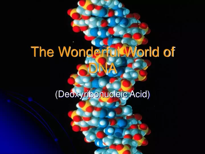 the wonderful world of dna