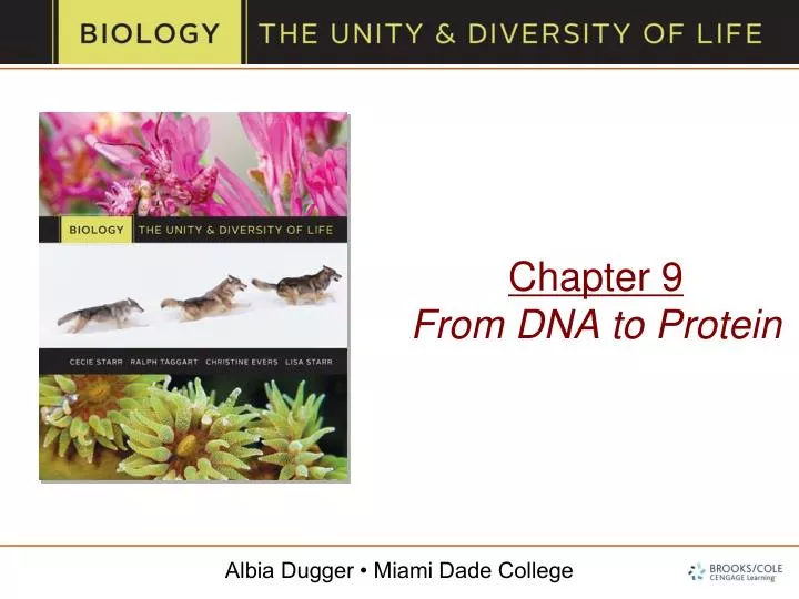 chapter 9 from dna to protein