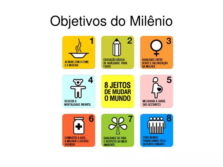 objetivos do mil nio