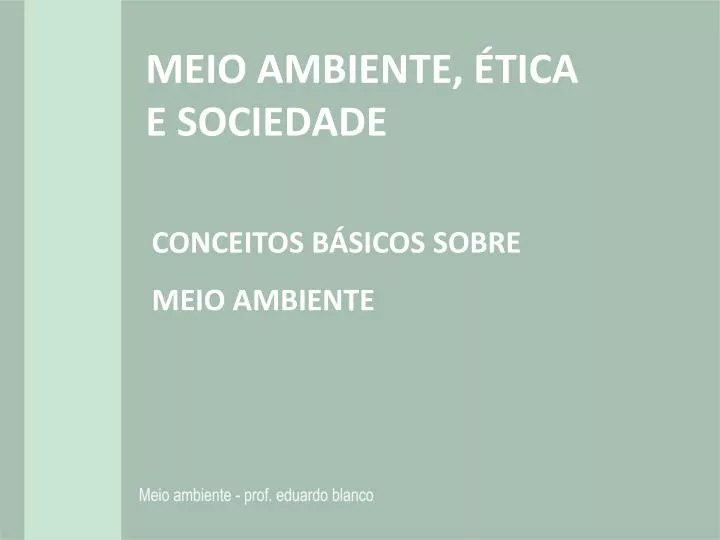 meio ambiente tica e sociedade