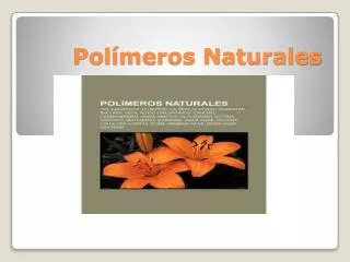 pol meros naturales