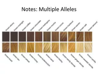 Notes: Multiple Alleles