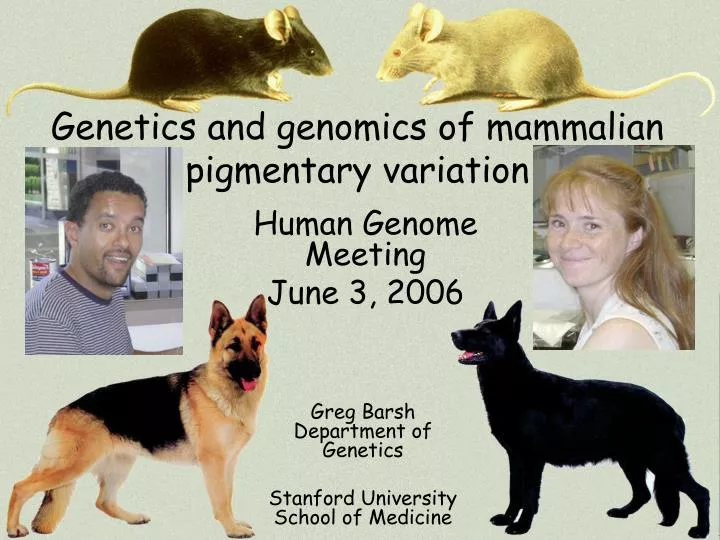 genetics and genomics of mammalian pigmentary variation