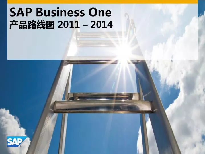 sap business one 2011 2014