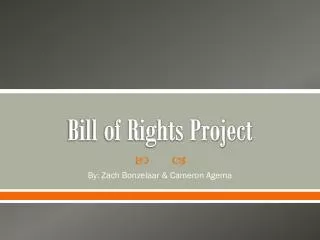 Bill of Rights Project