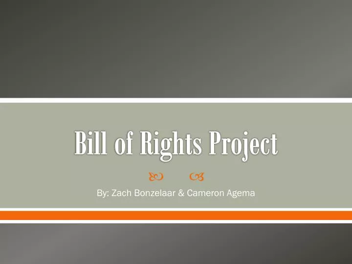 bill of rights project