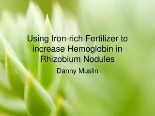 Using Iron-rich Fertilizer to increase Hemoglobin in Rhizobium Nodules