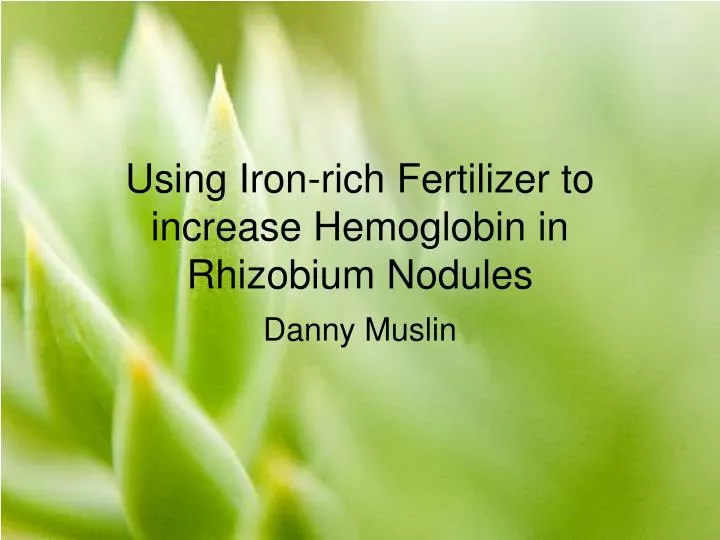using iron rich fertilizer to increase hemoglobin in rhizobium nodules
