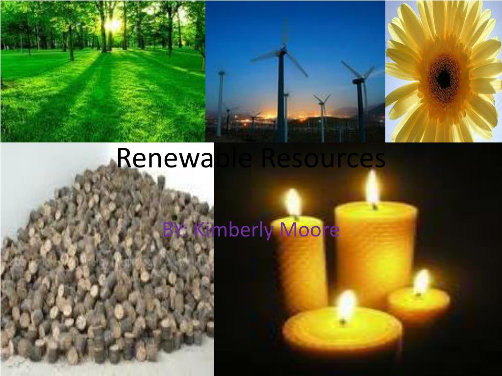PPT - Renewable Resources PowerPoint Presentation, free download - ID ...