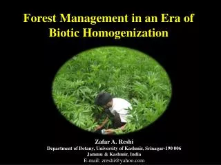 Forest Management in an Era of Biotic Homogenization