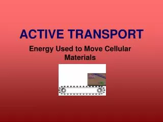 ACTIVE TRANSPORT