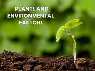 PLANTS AND ENVIRONMENTAL FACTORS