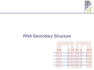 RNA Secondary Structure