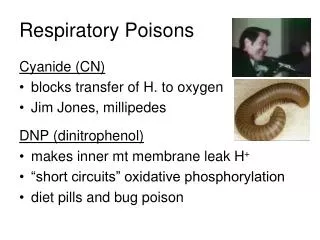 Respiratory Poisons