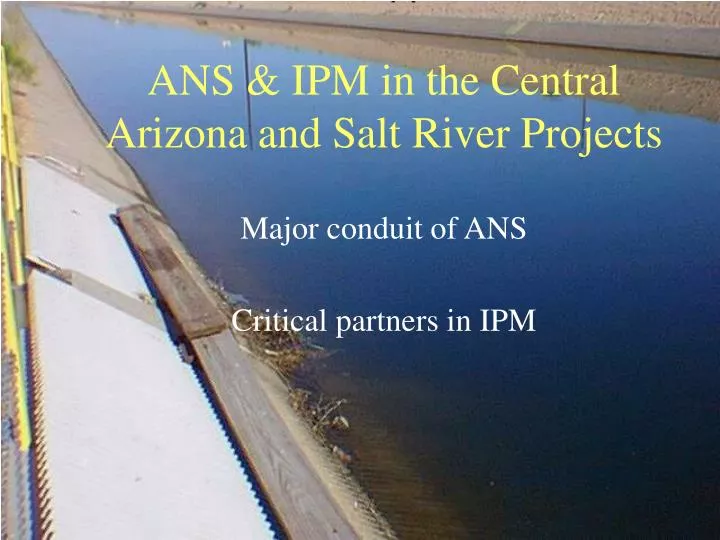 ans ipm in the central arizona and salt river projects