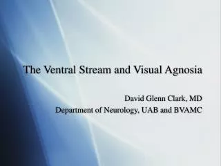 The Ventral Stream and Visual Agnosia