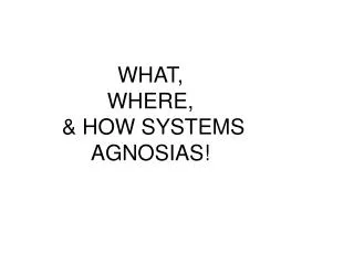 WHAT, WHERE, &amp; HOW SYSTEMS AGNOSIAS!